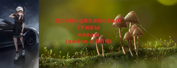 синтетический гашиш Алексин