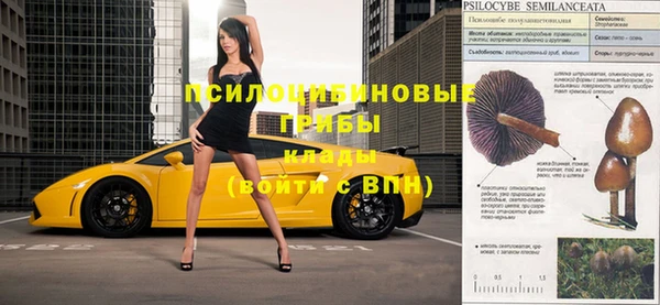 таблы Алзамай