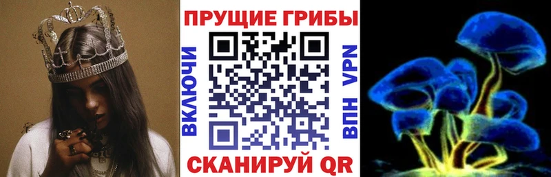 Галлюциногенные грибы Magic Shrooms  где продают   Лермонтов 